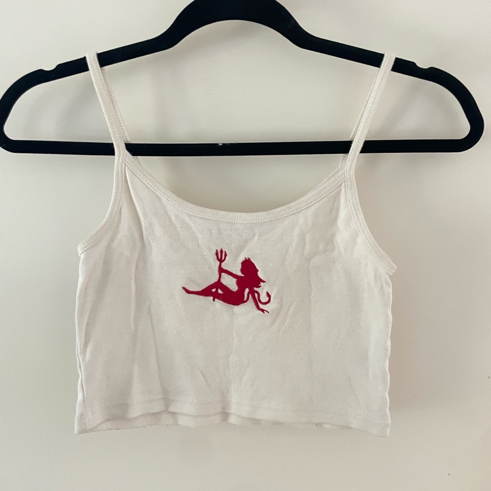 Brandy Melville Crop Top